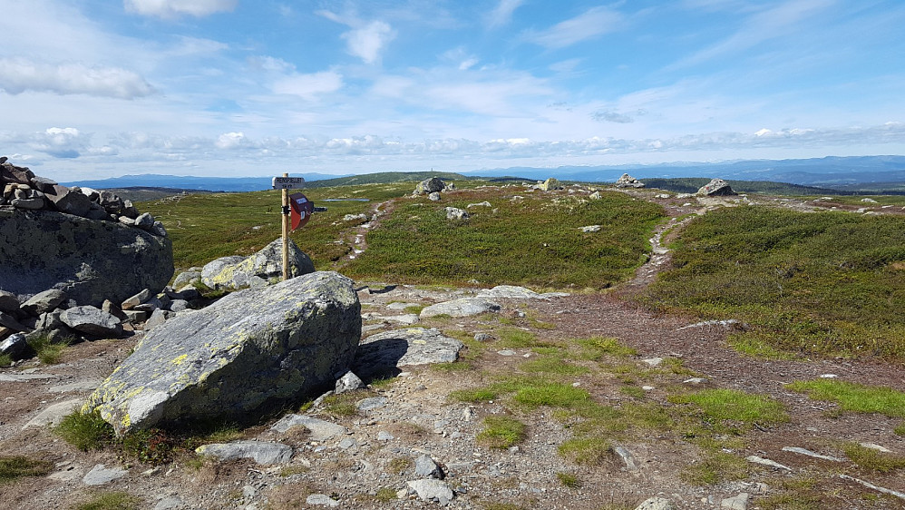 På Reinsfjellet