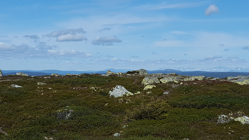 På Reinsfjellet