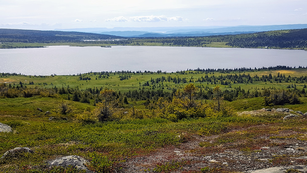 På Reinsfjellet
