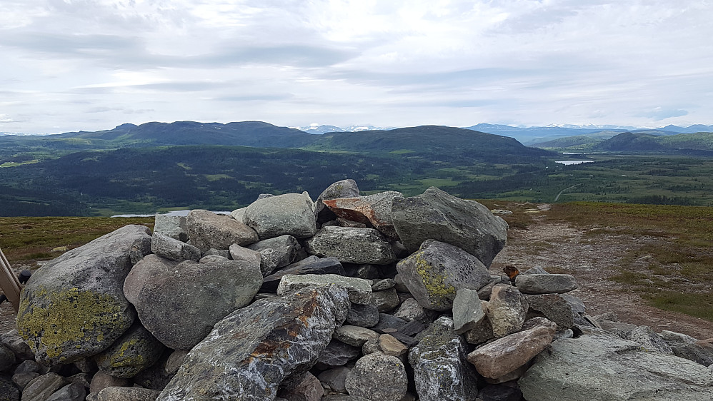 På Skjervungfjellet
