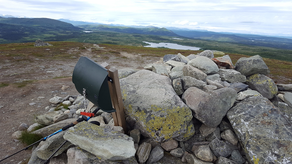 På Skjervungfjellet
