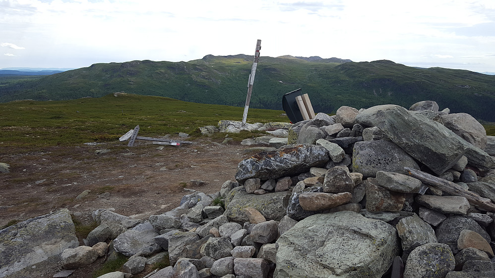 På Skjervungfjellet
