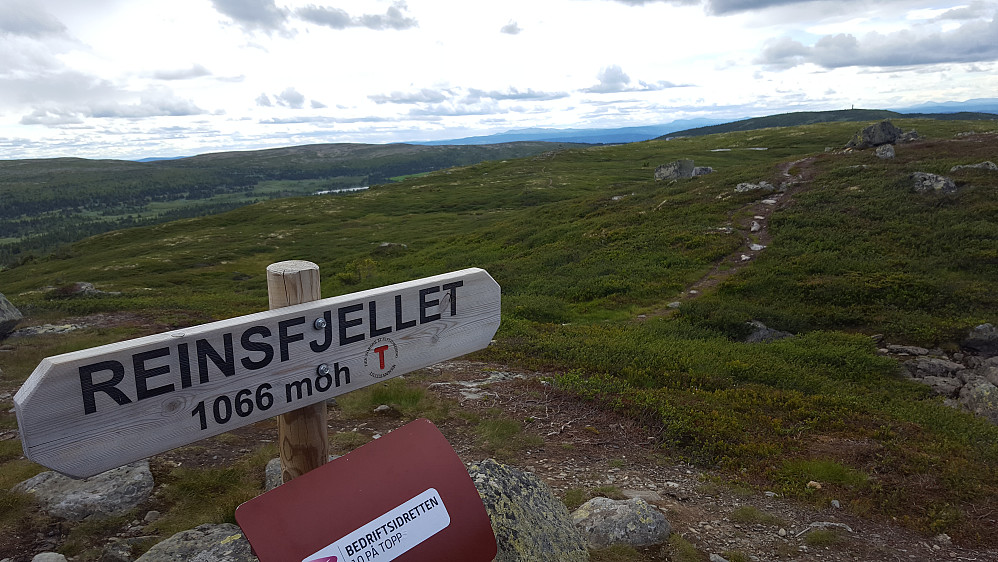 På Reinsfjellet