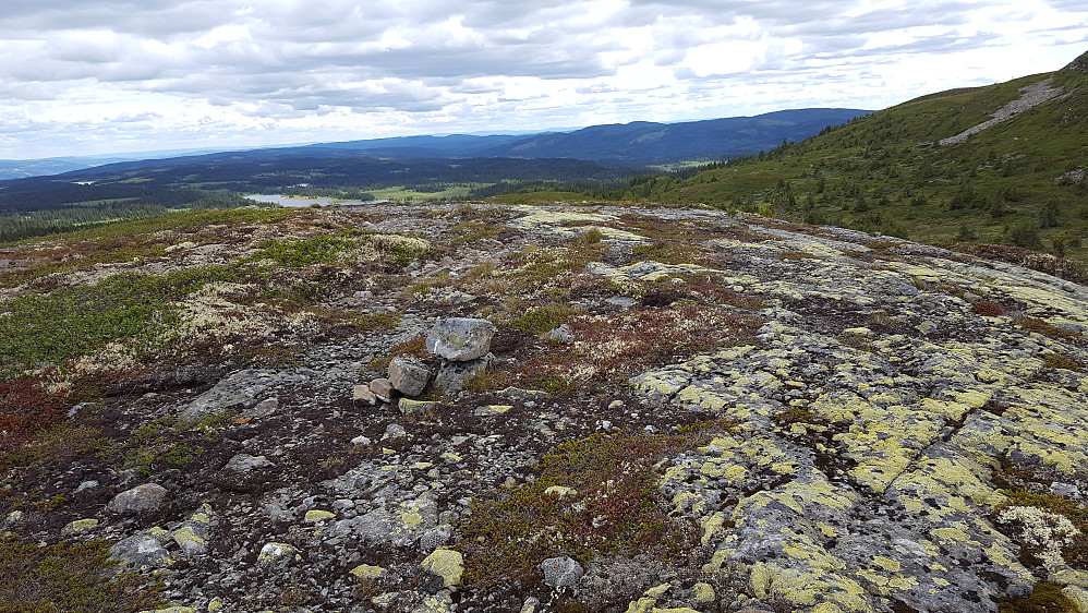 På Rævskorotjernhaugen