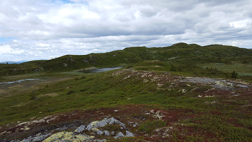På Rævskorotjernhaugen