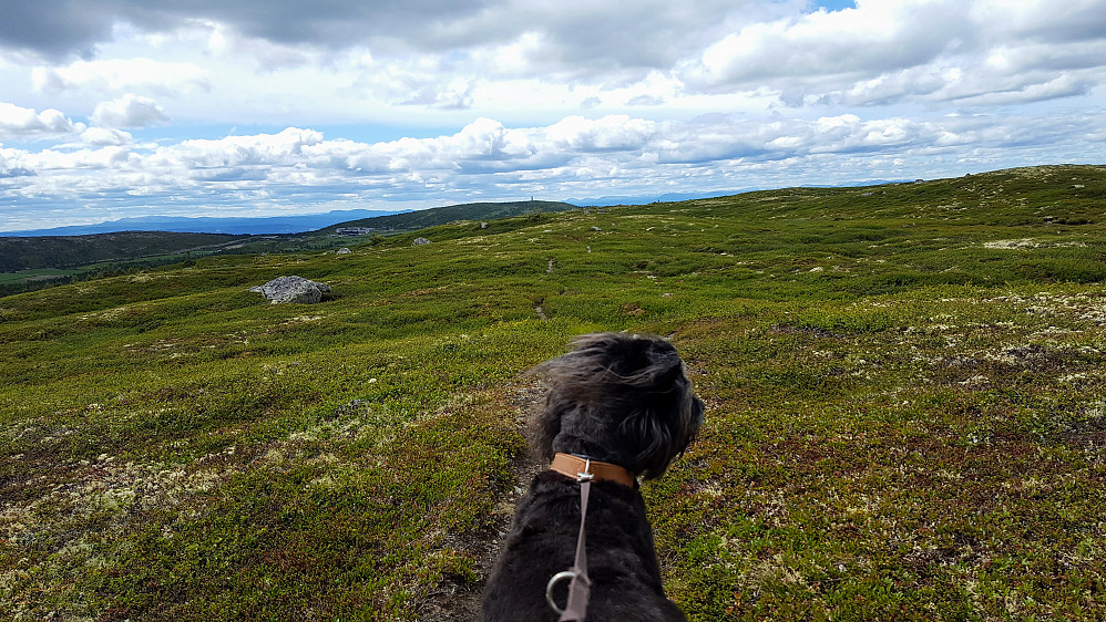 På tilbaketur, ser mot Hafjellet