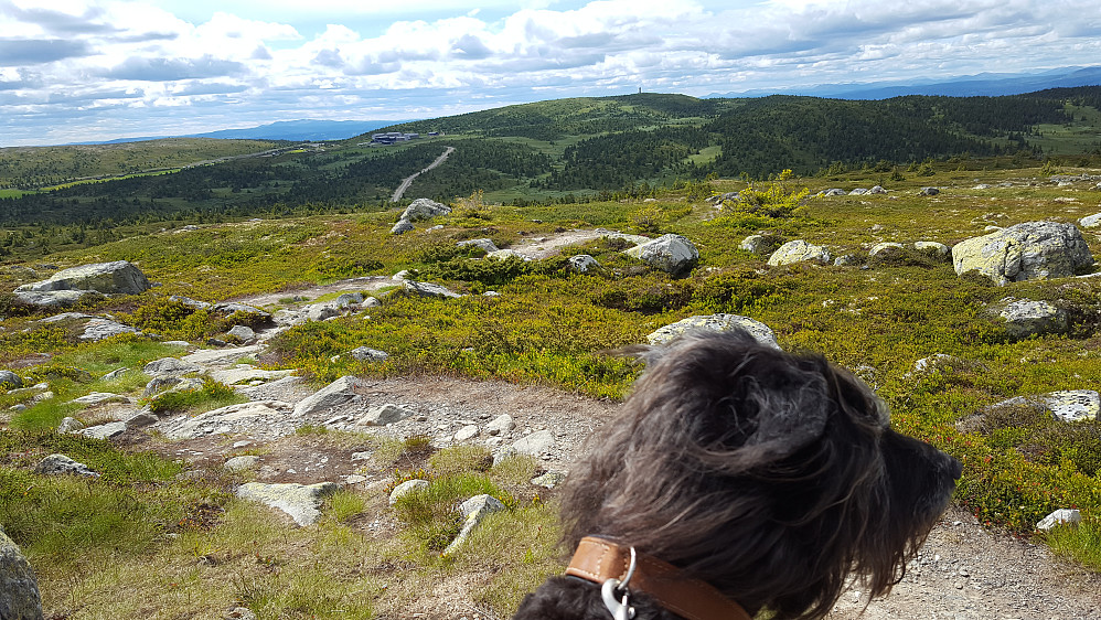 På tilbaketur, ser mot Pellestova og Hafjellet