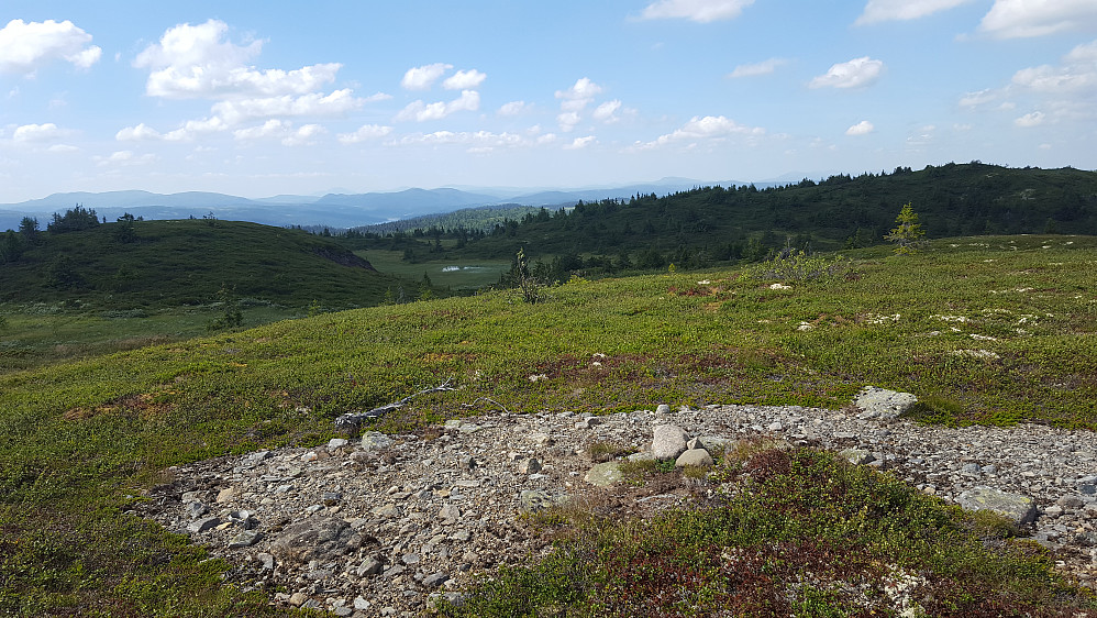 På Condruphaugen