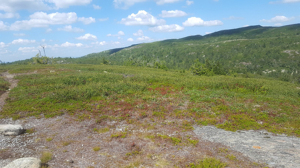 På Bleikjefjellet