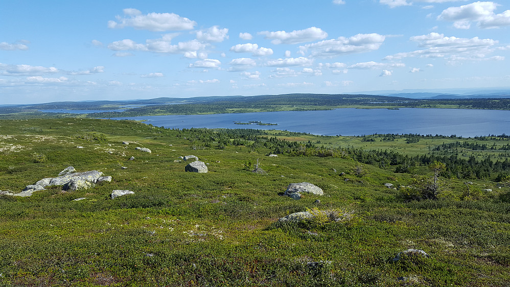 På Reinsfjellet