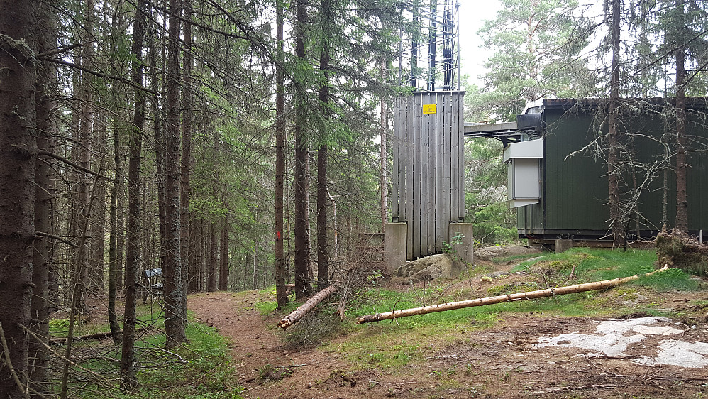 På Kjosberget