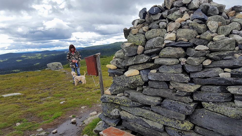 På Hærfjellet