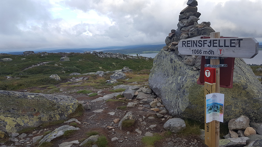 På Reinsfjellet