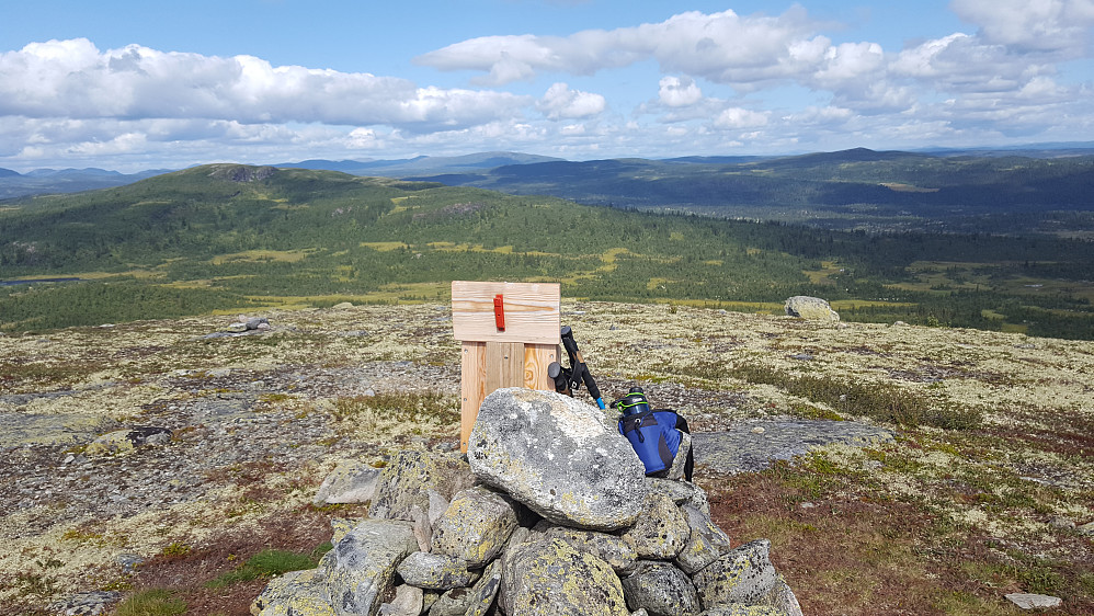 På Skjellbreidskampen