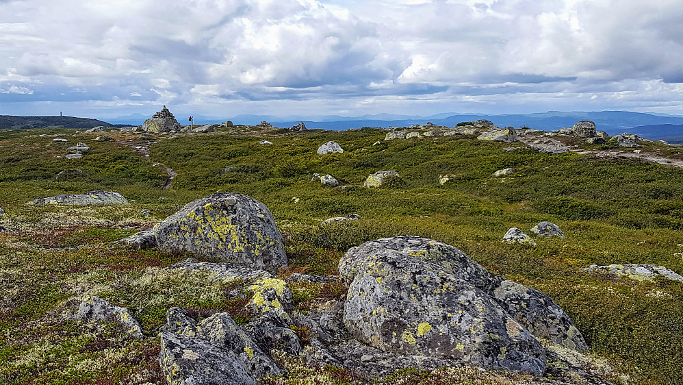 På Reinsfjellet