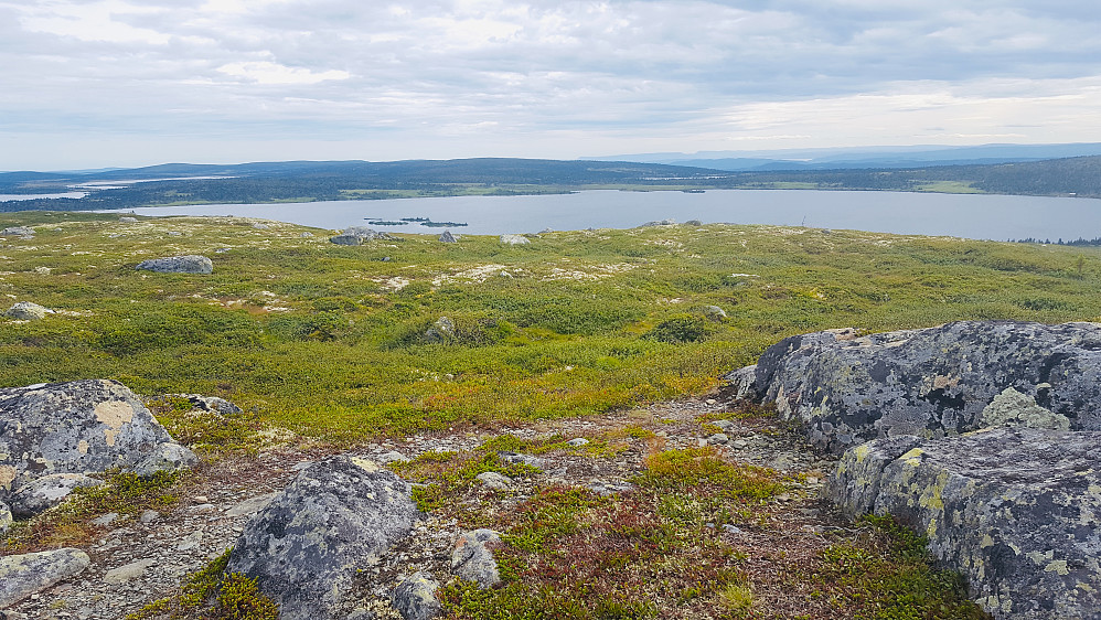 På Reinsfjellet