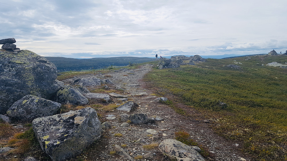På Reinsfjellet