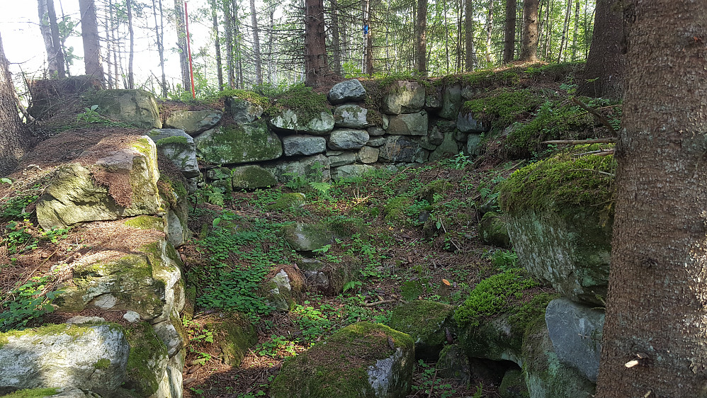 Hustufter Holshågån