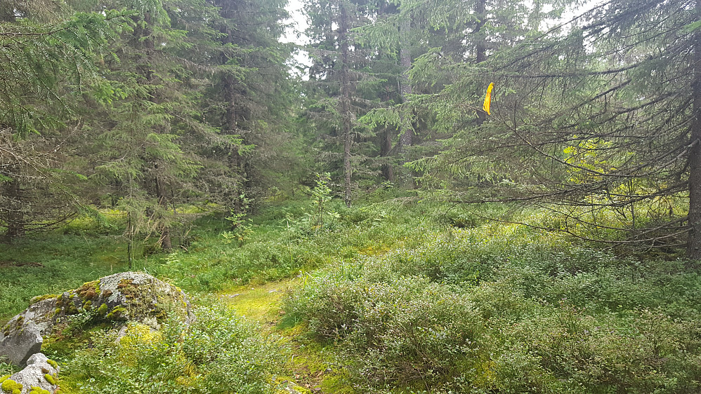 På Kanthaugen