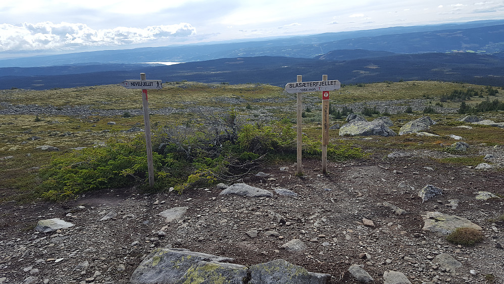 På Slåsæterfjellet
