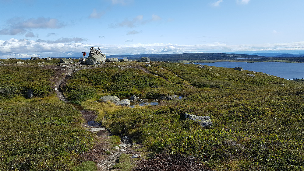 På Reinsfjellet
