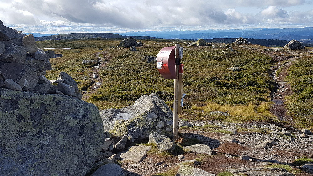 På Reinsfjellet