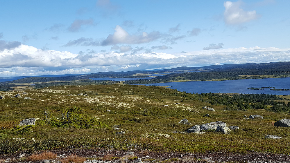 På Reinsfjellet
