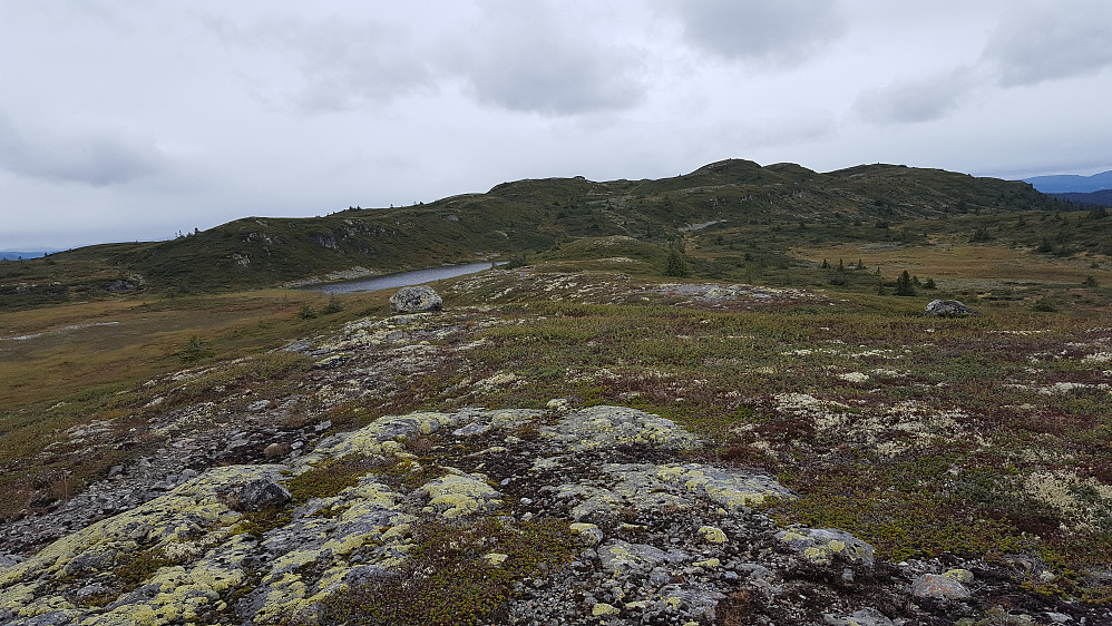 På Rævskorotjernhaugen
