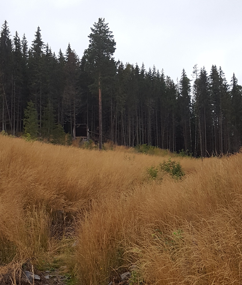 Gapahuken sett nedenfra