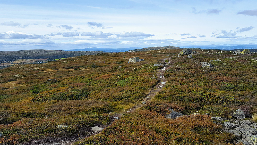På Reinsfjellet
