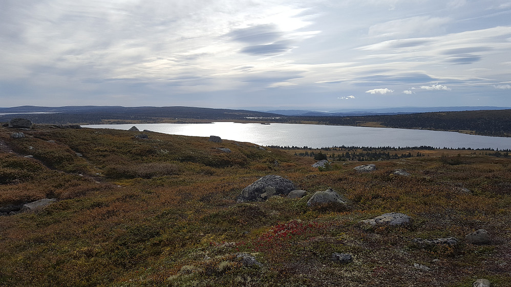 På Reinsfjellet