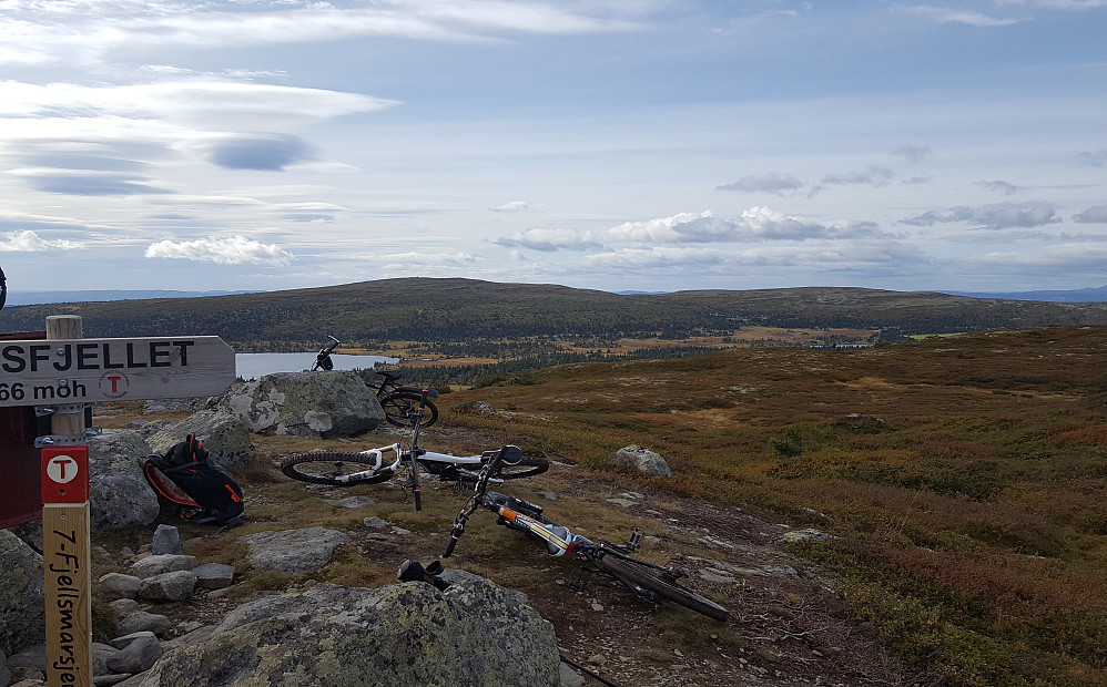 På Reinsfjellet