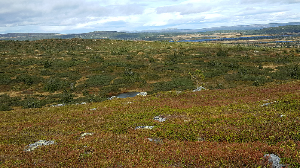 På Lunkefjell
