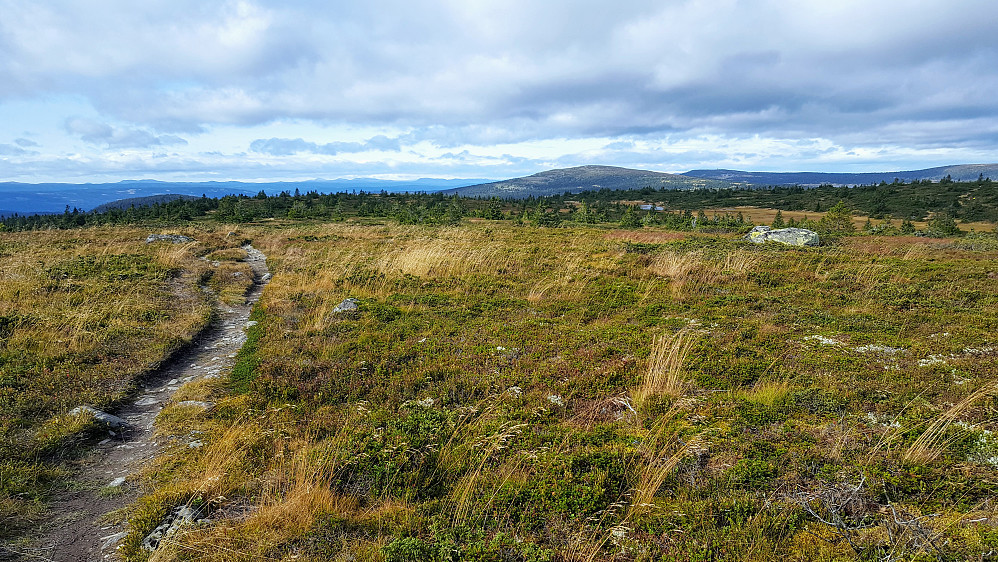 På Lunkefjell vest