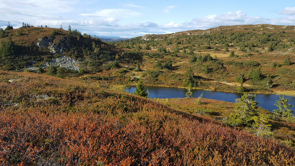 På Søre Gaustumseterfjellet