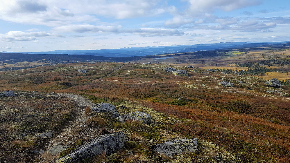 På Veslefjellet