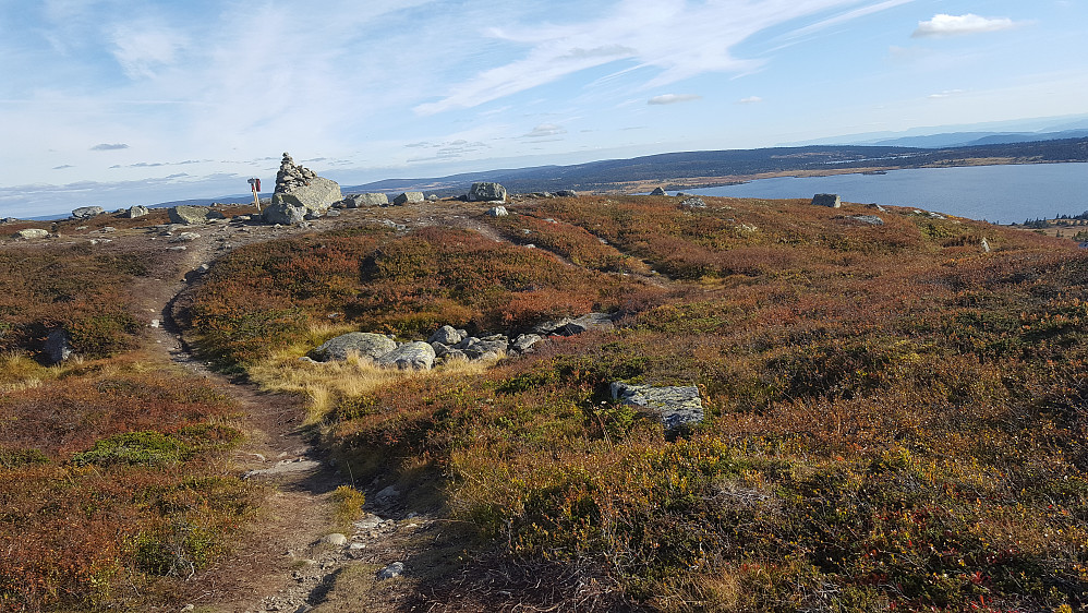 På Reinsfjellet