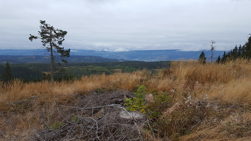 På Askjellerudåsen