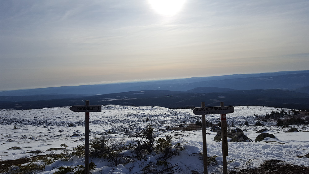 Tilbake på Slåseterfjellet
