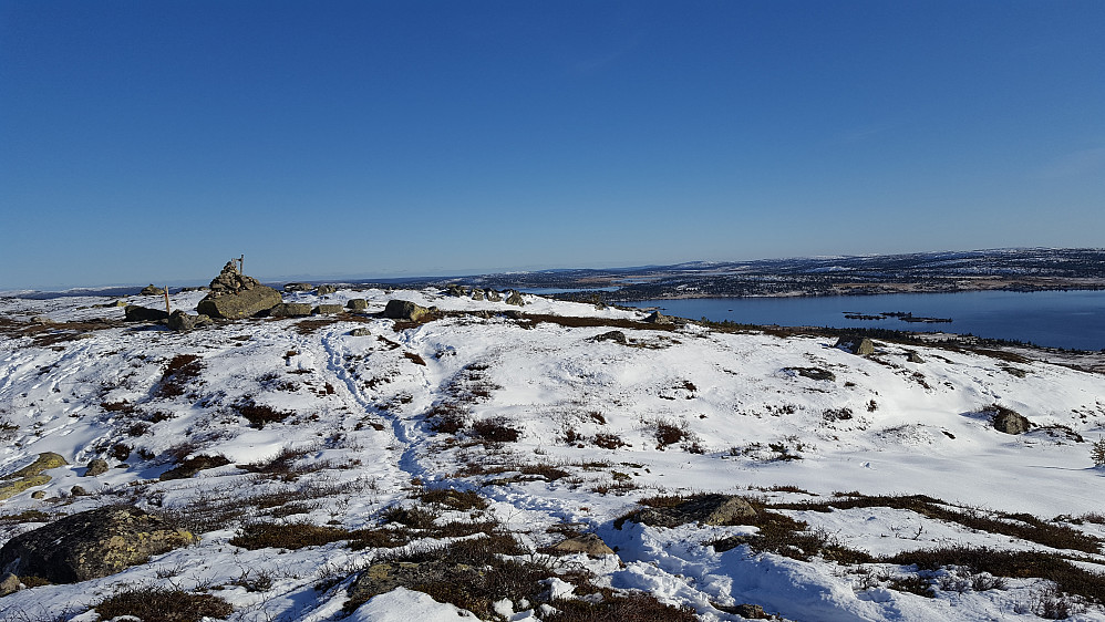 På Reinsfjellet
