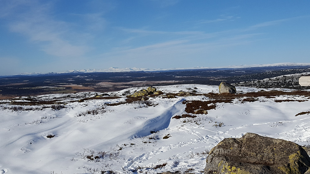 På Reinsfjellet, mot Rondane