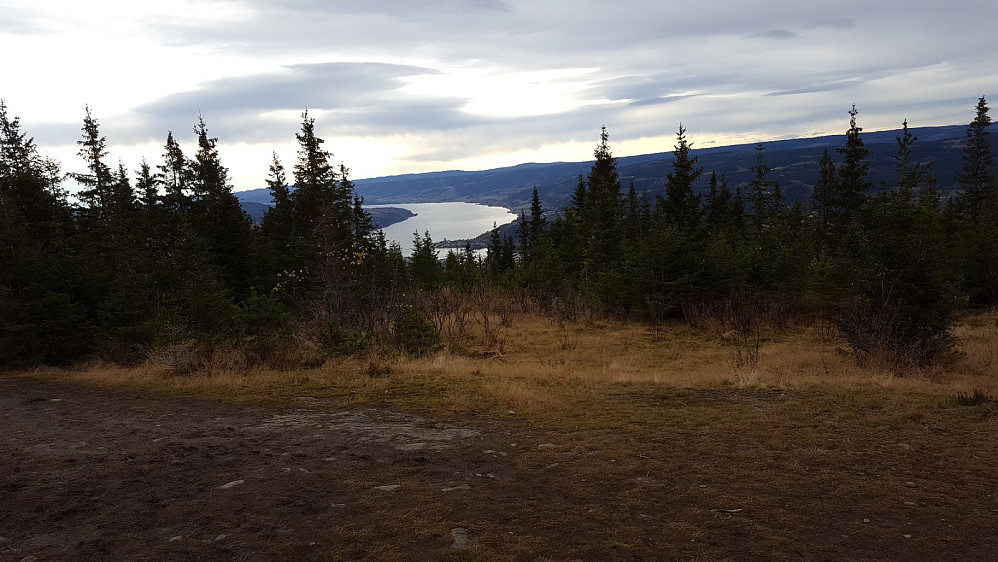 På Balbergkampen