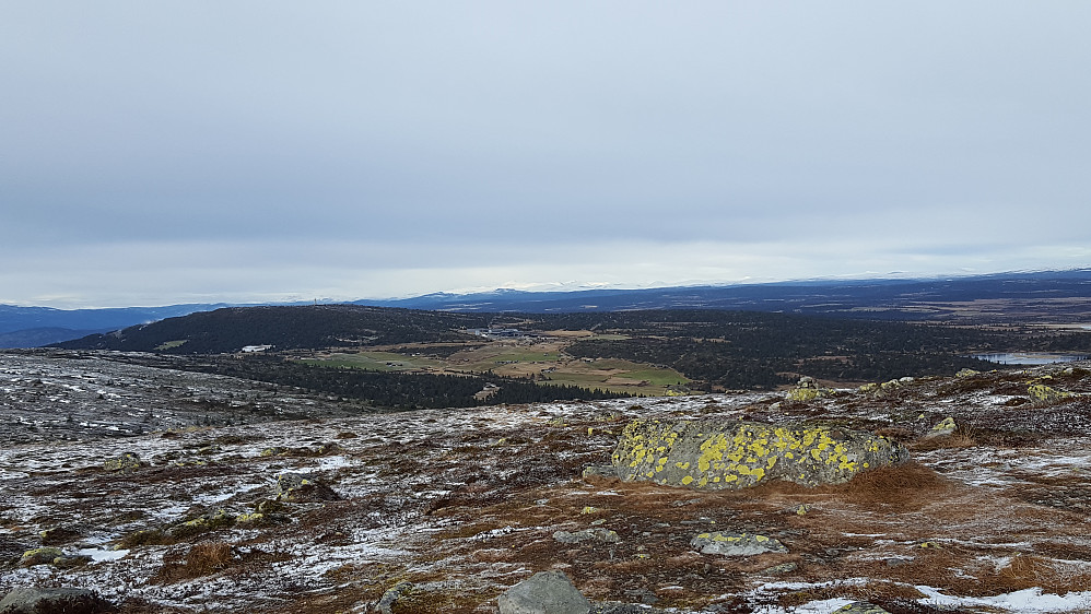 På Nevelfjell, mot Pellestova