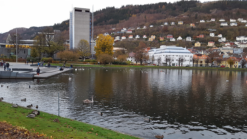Vannet i Byparken med Fløyen bak