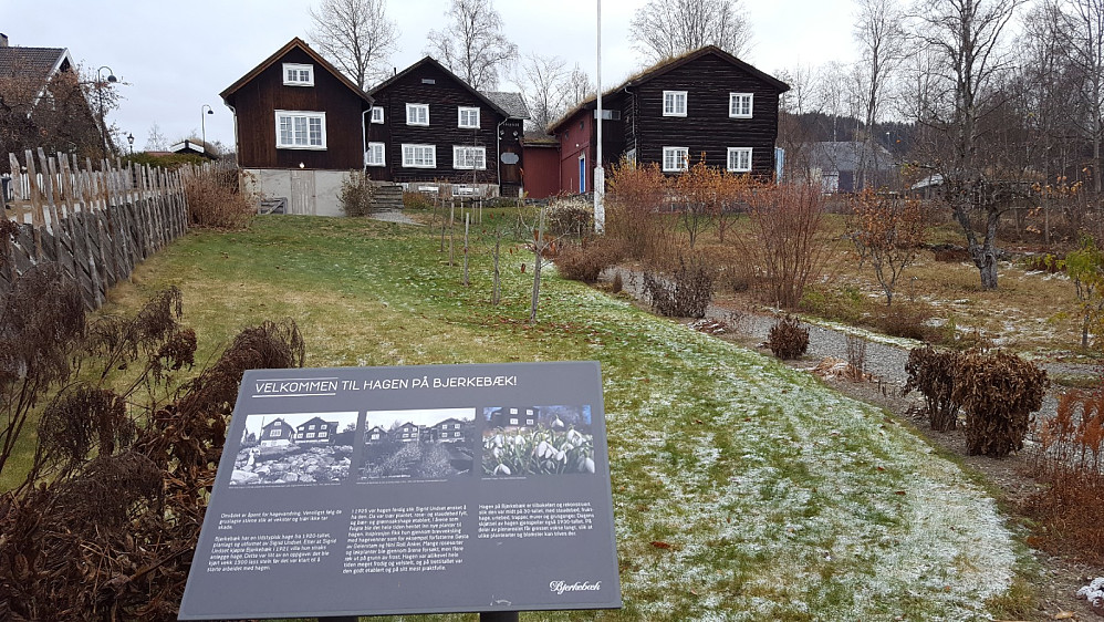 Ved Bjerkebæk
