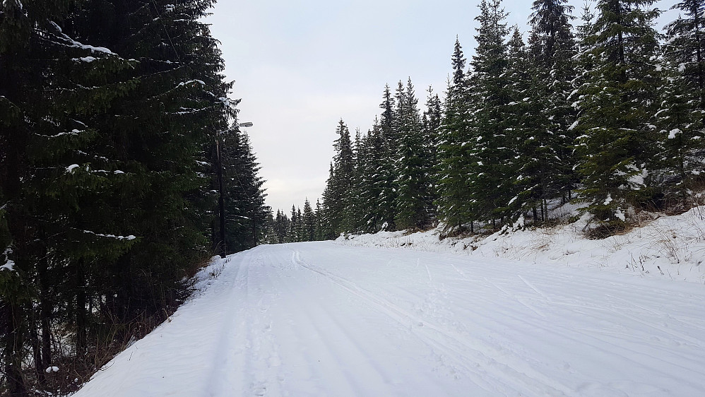  Noen har gått på ski i lysløypa