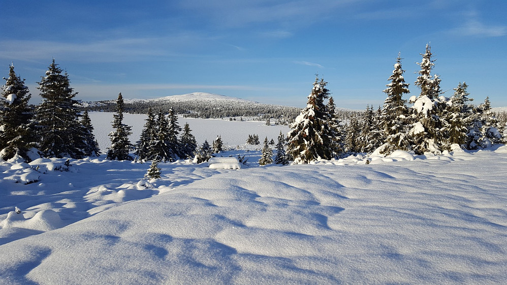 Mot Nevelfjell