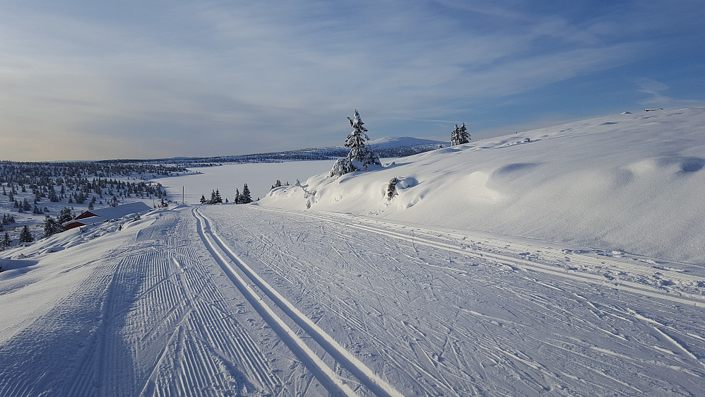 På Reinakrysset