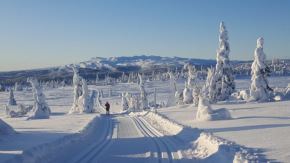Synnfjellet fra Kjettbergløypa
