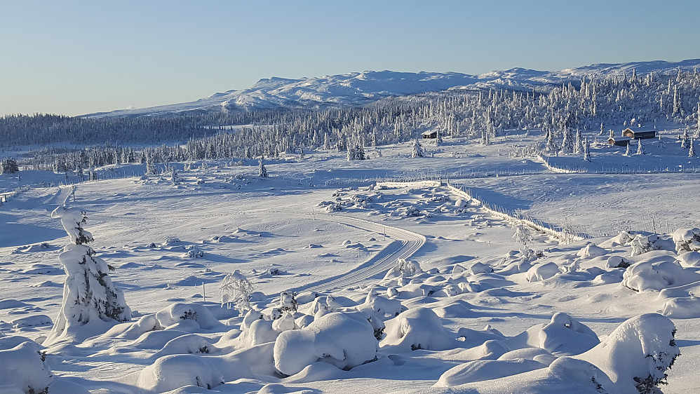 På Nysetra
